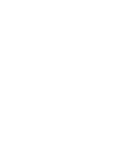 Nanosmoothies Logo